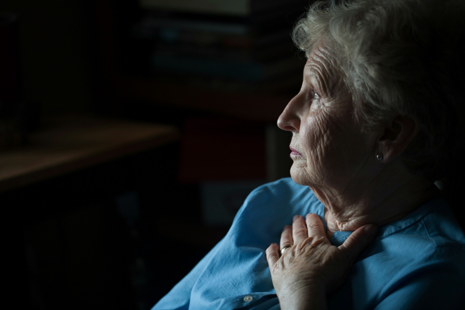 System.Collections.Generic.List`1[AFS.Common.Models.Photo] - Image 1