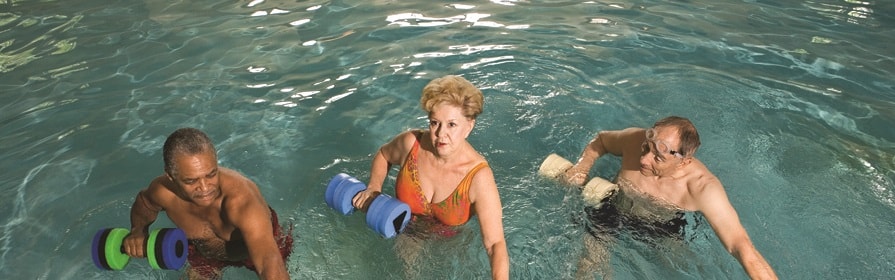 System.Collections.Generic.List`1[AFS.Common.Models.Photo] - Image 1