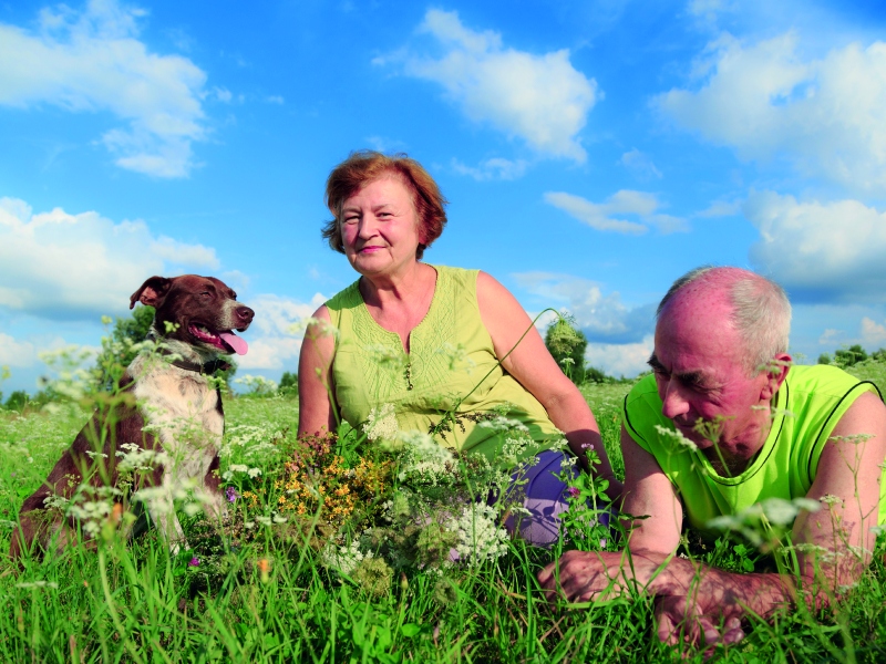 Lake Orion Nursing and Rehabilitation